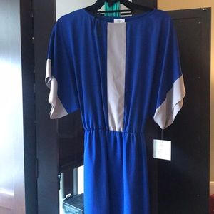 Suzy chin for Maggy boutique dress.  Never worn